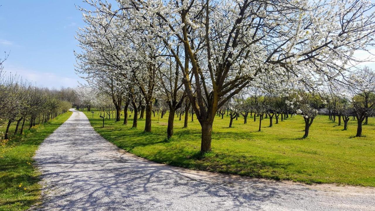 Agriturismo Borgo Borromeo 루바노 외부 사진