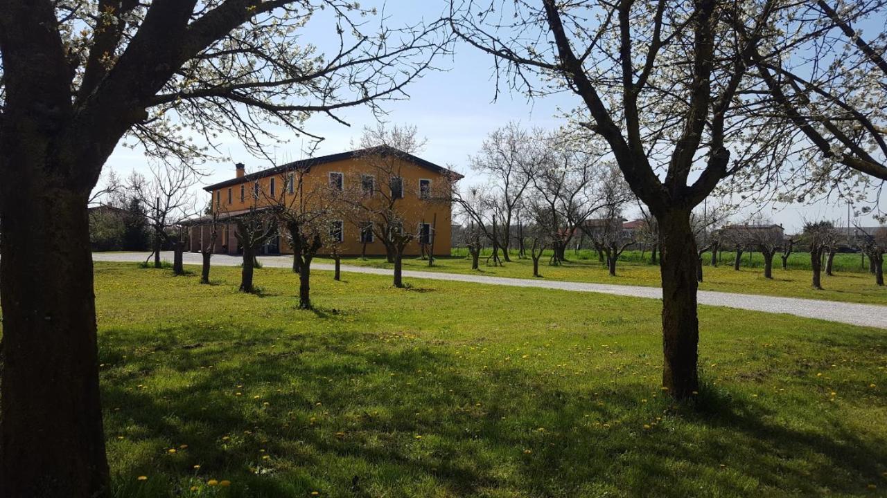 Agriturismo Borgo Borromeo 루바노 외부 사진